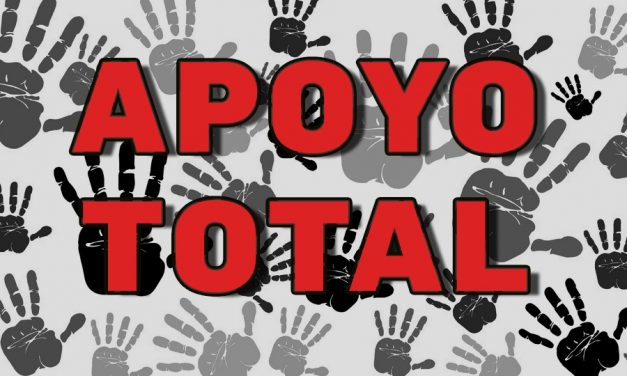 APOYO TOTAL Y SOLIDARIDAD CON EL CONSEJO PROFESIONAL